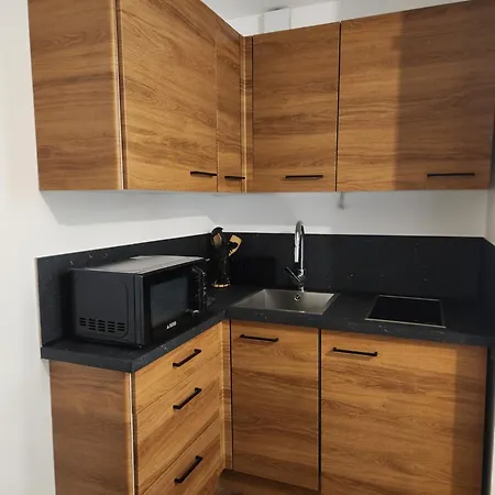 Apartment 4 Personnes Aux Pieds Parking Couvert Les Deux Alpes